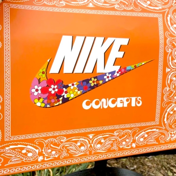 Nike Air Max 1 SP Concepts Heavy - Picture 5 of 14